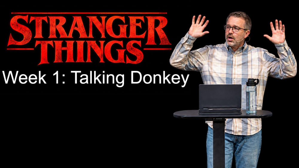 Balaam's Donkey Image